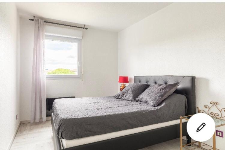 Superbe Appartement T3 Avec Piscine Montpellier Eksteriør billede